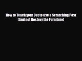 Read How to Teach your Cat to use a Scratching Post (And not Destroy the Furniture) PDF Online