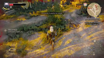 The witcher 3 (125)