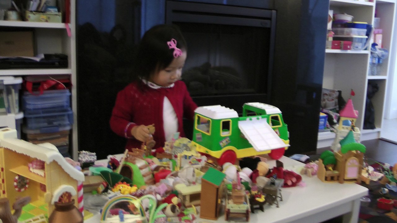 Sylvanian Families Planning To Go To The Castle