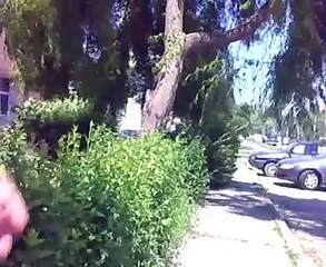 Sunny day in Focsani Romania