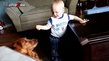 Funny And Cute Babies Laughing Hysterically At Dogs Compilation || NEW HD