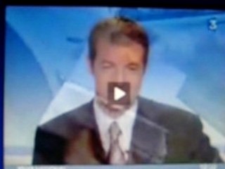 Plantes carnivores insolite