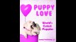 Puppy Love - Worlds Cutest Puppies Dog Facts and Picture Book for Kids