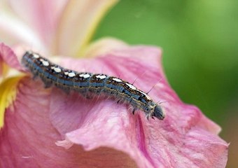 BET365가상축구 SuperCAR123.COM 가입코드: 6623 토토안전놀이터