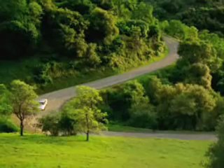PAISAGEM