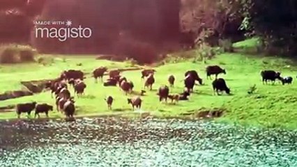 Alluring Trip through the Beauty of Kerala