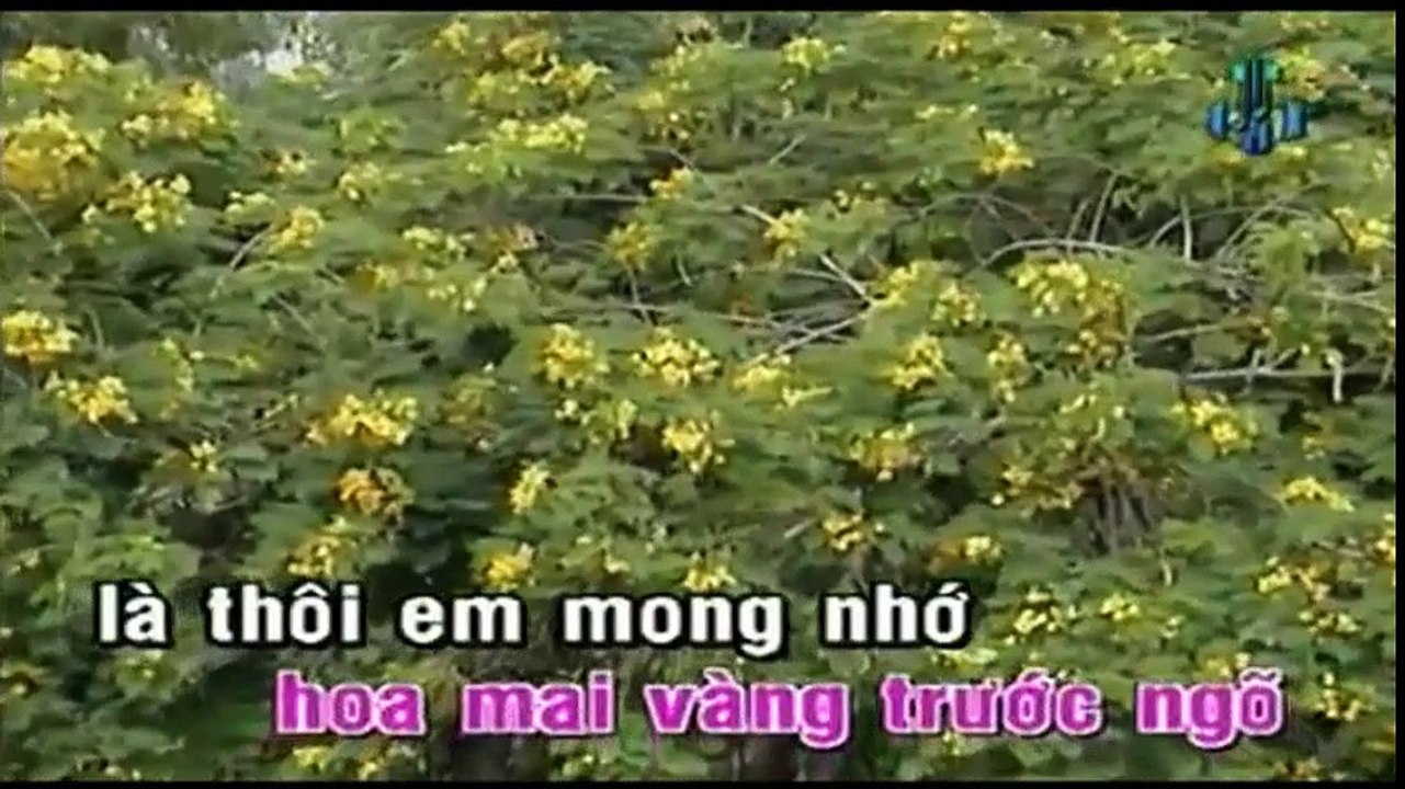 Karaoke Đan Áo Mùa Xuân - Giao Linh