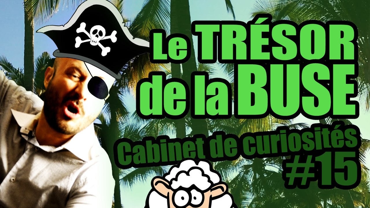 Le TRÉSOR de LA BUSE - Cabinet de curiosités #15