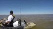 Kayak Fishermen Given Escort by Albino Dolphin