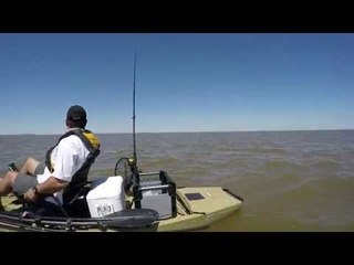 Kayak Fishermen Given Escort by Albino Dolphin
