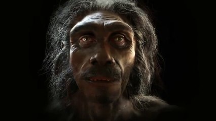 The-Evolution-Of-Mans-Face-Over-The-Course-Of-6-Million-Years