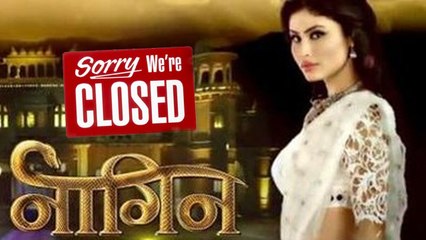 Nagin On Colors Closses in Jun Moni watch Moni Roy Crying Video | News | Vianet Media