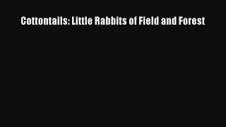 Download Cottontails: Little Rabbits of Field and Forest Book Online