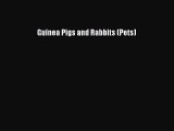 Download Guinea Pigs and Rabbits (Pets) Ebook Online