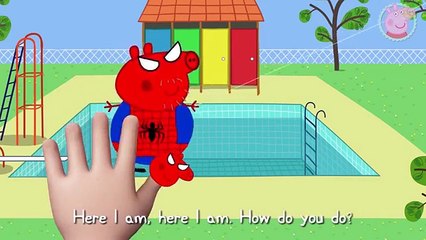 Peppa Pig George Pig Can Fly And Fall Cry Funny Story Finger Family by Pig TV