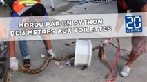 Un homme mordu par un python de 3 mètres aux toilettes