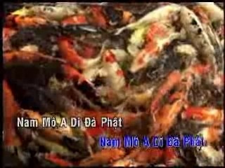 Niem Phat nhac - 1 X 4 - Doan