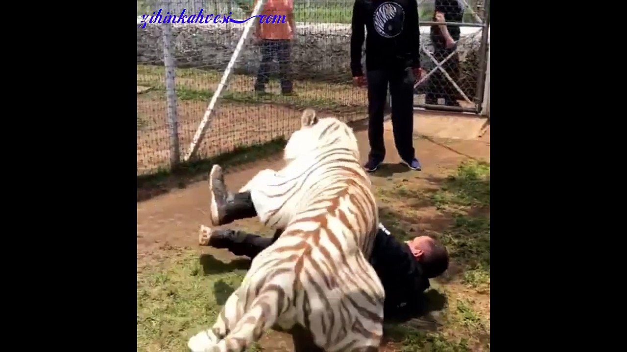 Oyun Zamanı:))