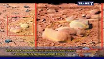 On The Spot 24 Januari 2014 Penemuan Misterius Di Planet Mars