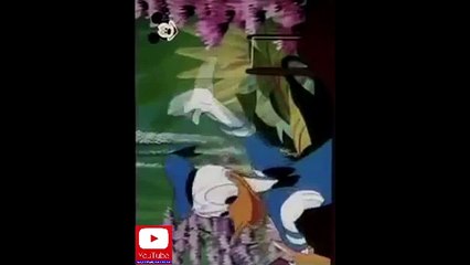 Paja Patak - Fontana Mladosti