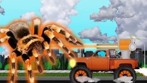 Monster Trucks for Children   Monster Trucks Songs for Kids   Monster Trucks Cartoon
