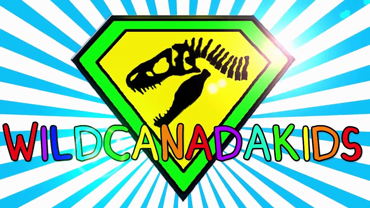 Count to 20 for Kids   Learn to Count Numbers 1 to 20   Counting with Dinosaurs!