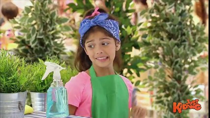 Flower Pots Play Bowling