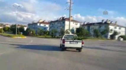 Kamyonet Üstünde Köpeğin İlginç Yolculuğu