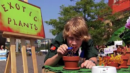 Little Shop of Horrors Plant Prank - Just Kidding