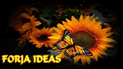 OJOS MOVILES CON BLISTER DE PASTILLAS