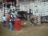 SA1 017.MPG        San Antonio Livestock Show and Rodeo 2010 Steer Wrestling   2/17/2010