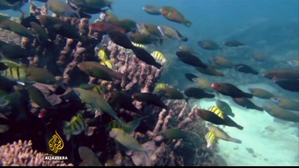 Climate change: Australia removed from UN report