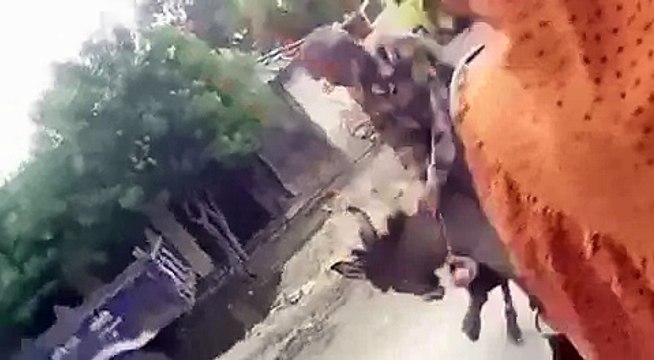 Funny Donkey Video - A Man Sitting On Donkey Great Fun