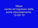 Addestramento cani:Maya uscita ed ingresso dalle porte educatamente 12-12-10.wmv