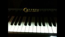 Improwizacja 26 - Calisia (Fortepian Calisia) - Piotr Sachar Piano Improvisation