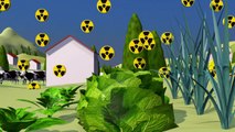 Radioactive contamination
