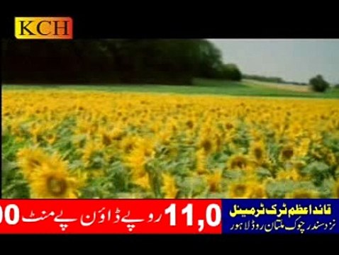 Raavi de kande mere Datta Dera Laia | Main Sadqe Datta toun| Mera Peer Ali Hajveeri Beautiful Qaseeda Mohammad Awais Raza Qadri Full HD