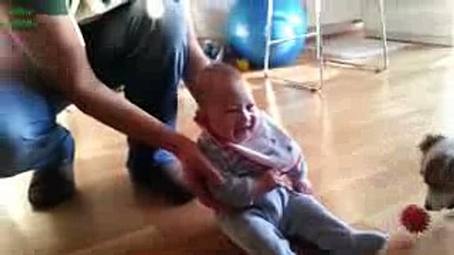 Babies Laughing Hysterically at Dogs Compilation 2016