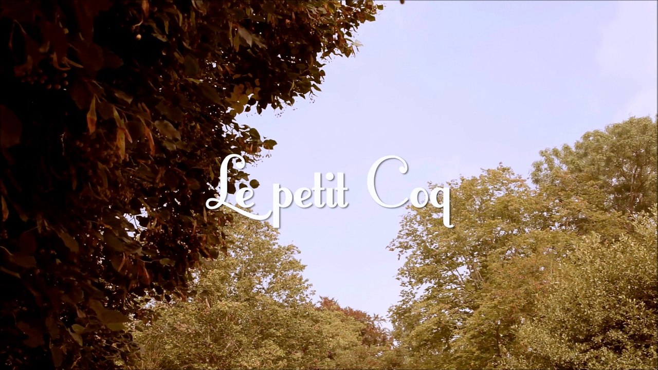 Le petit coq