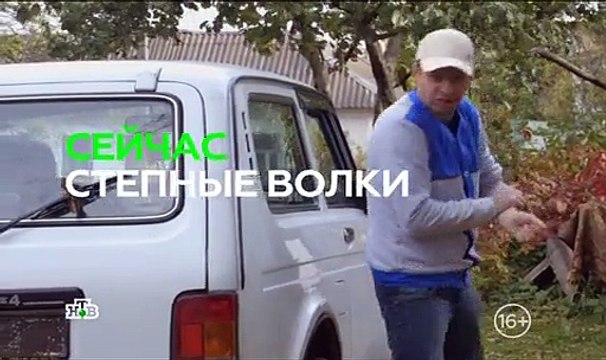 Сериал | Степные волки 8 серия | Драма, Криминал | 2016