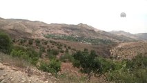 PKK'lılar Silahla Vurdukları Muhtarı Aracında Yaktı - Olay Yeri