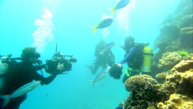 Google Maps: Check out the Ocean