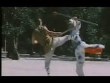 South Shaolin vs North Shaolin Trailer