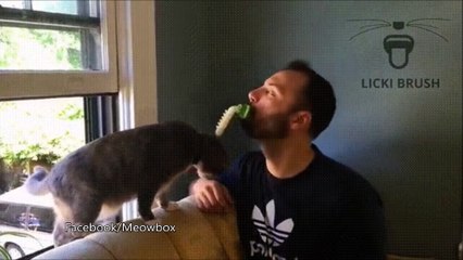 Grâce à cet accessoire vous allez pouvoir lécher votre chat !