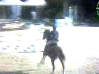 cso arcachon