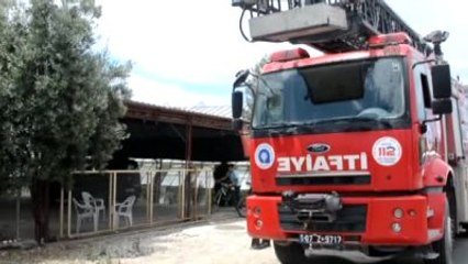 Kuyuya Düşen Horozu İtfaiye Kurtardı