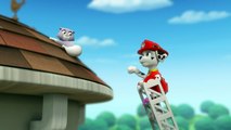 Paw Patrol Full Episodes English NEW 2016 01.06.2016