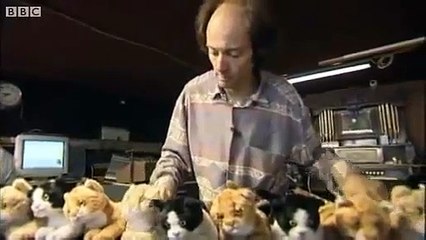 Ce musicien un peu fou joue sur des chats... Dingue