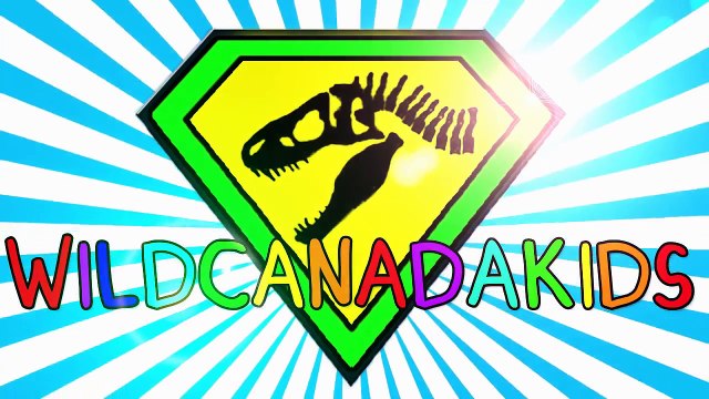 Airplanes for Kids Aeroplanes for Children Air Vehicles & Airplane Song for Kids