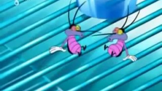 Oggy and the cockroaches in hindi new episode 2012 2013 cartoon network naw new YouTube